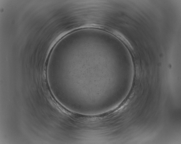 X0000074341292200608251341