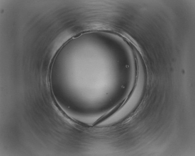 X0000074341293200608251341