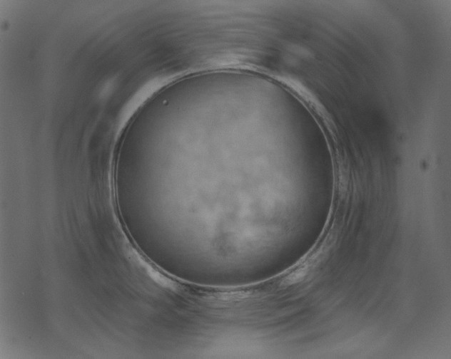 X0000074341294200608251341