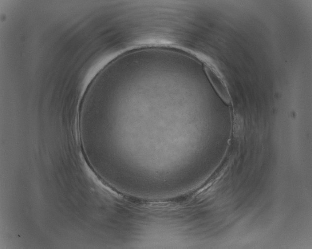 X0000074341295200608251341