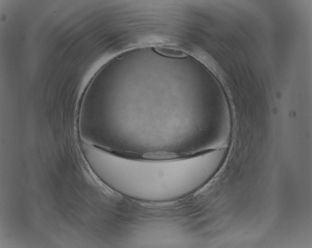 X0000074341296200608251341