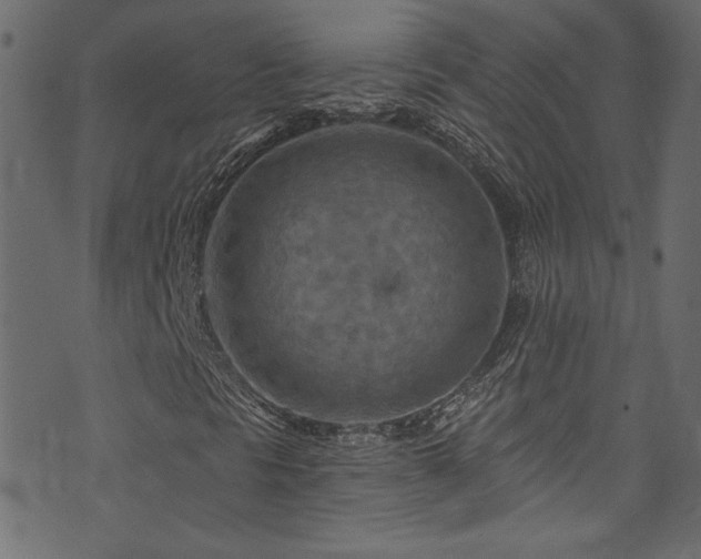 X0000074341297200608251341