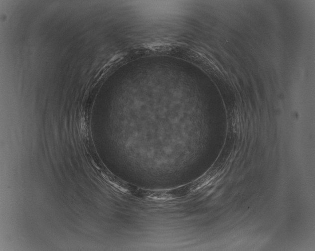 X0000074341298200608251341