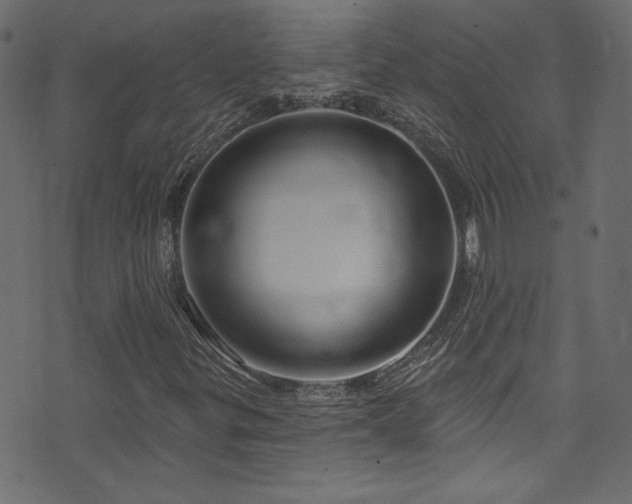 X0000074341299200608251341