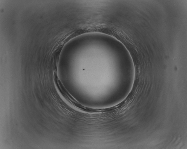 X0000074341300200608251341