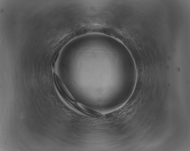 X0000074341301200608251341