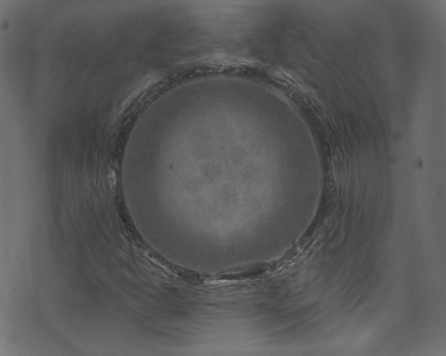 X0000074341302200608251341