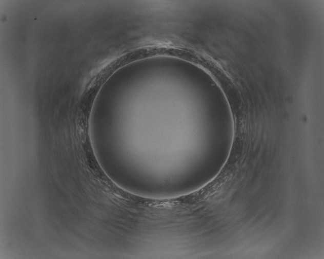 X0000074341303200608251341