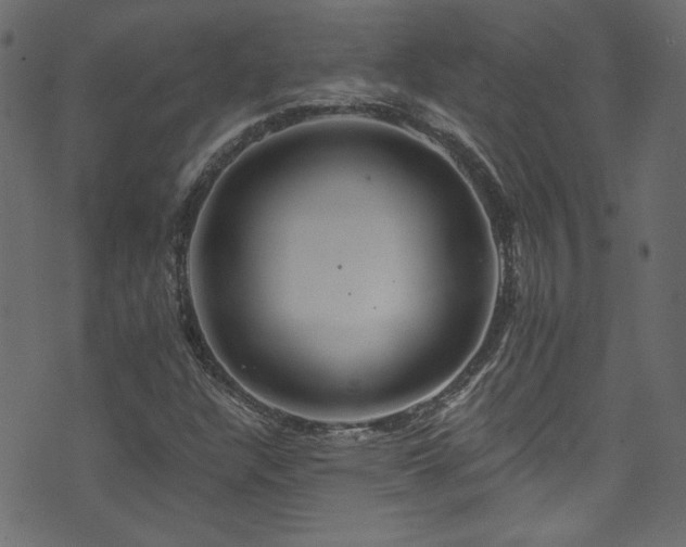 X0000074341304200608251341