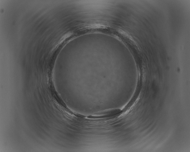 X0000074341305200608251341