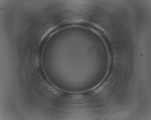 X0000074341306200608251341