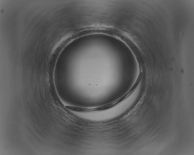 X0000074341307200608251341