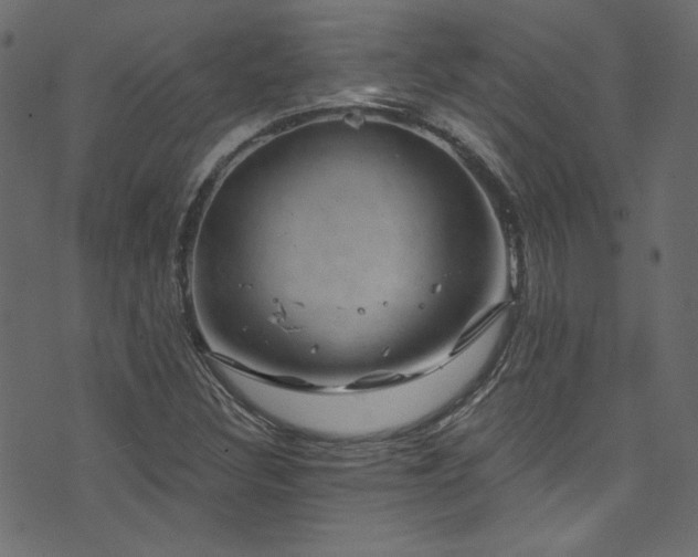 X0000074341308200608251341