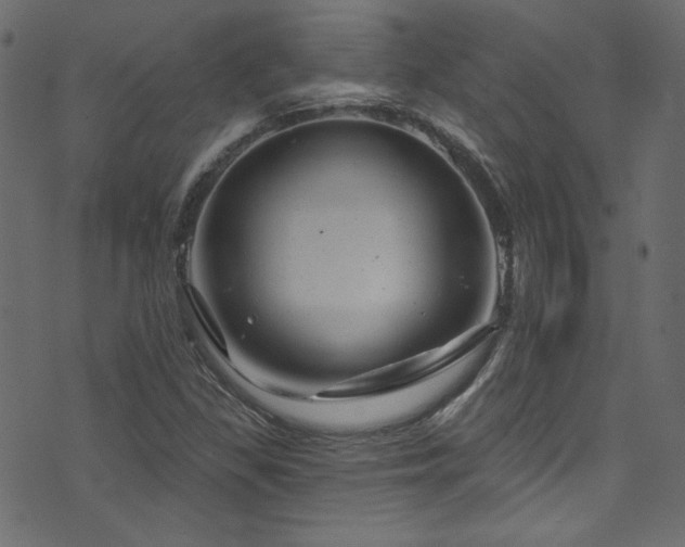 X0000074341309200608251341