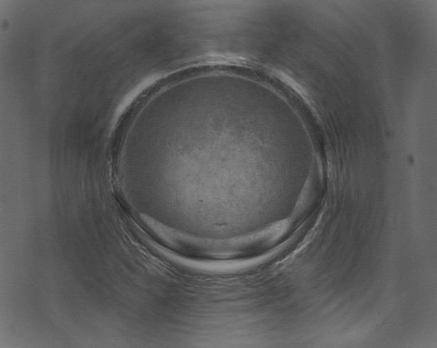 X0000074341310200608251341