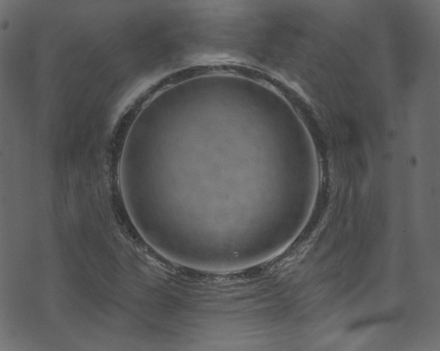 X0000074341311200608251341