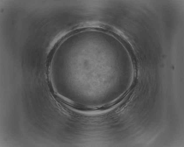 X0000074341312200608251341