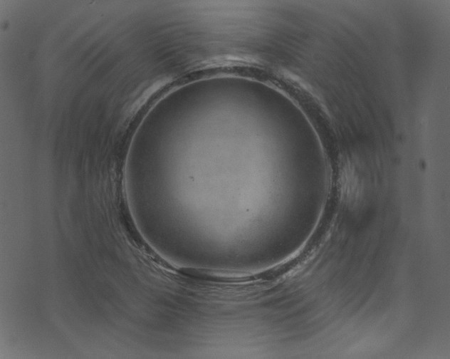 X0000074341313200608251341