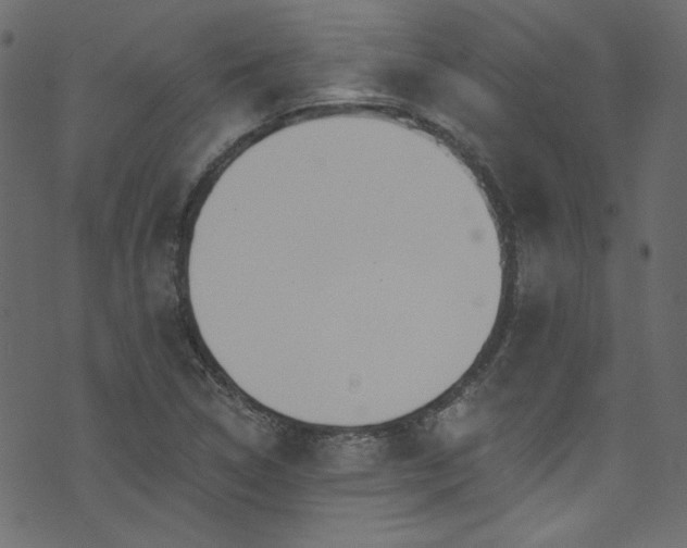 X0000074341314200608251341