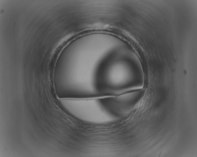 X0000074341315200608251341