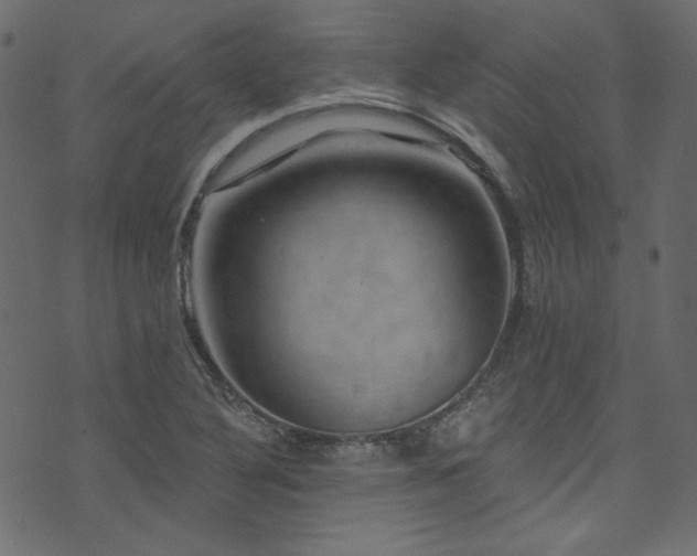 X0000074341316200608251341