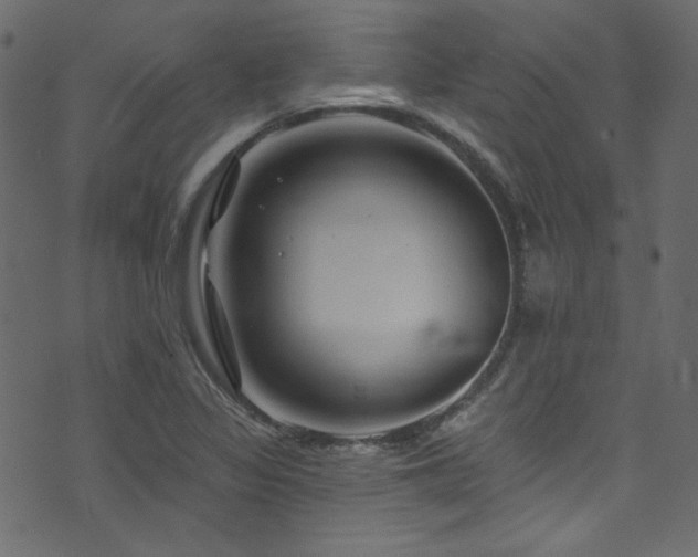 X0000074341317200608251341