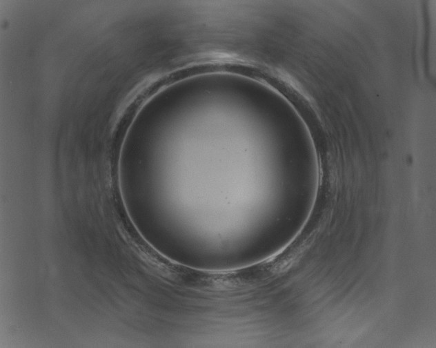 X0000074341318200608251341