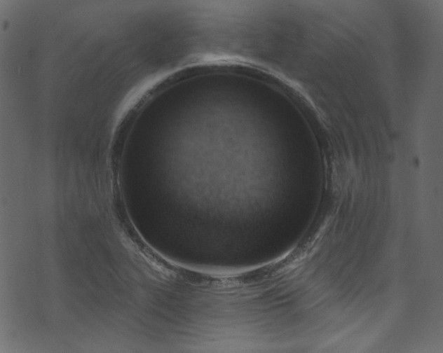 X0000074341319200608251341