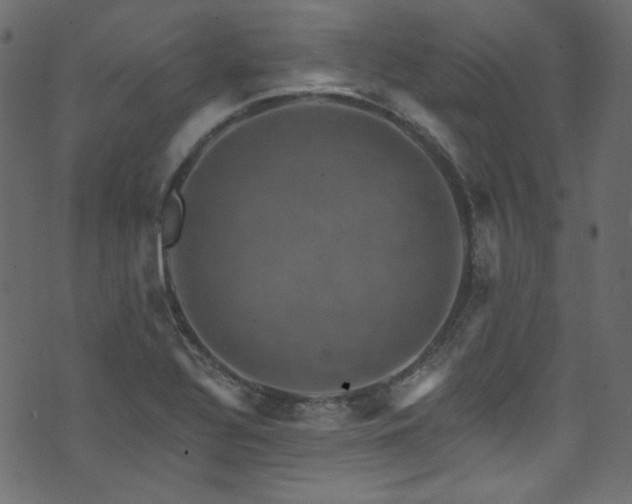 X0000074341320200608251341