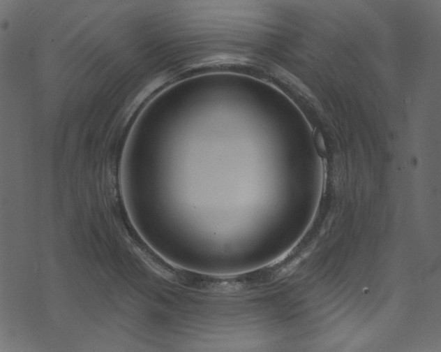 X0000074341321200608251341