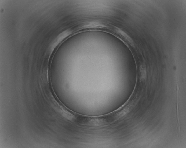 X0000074341322200608251341