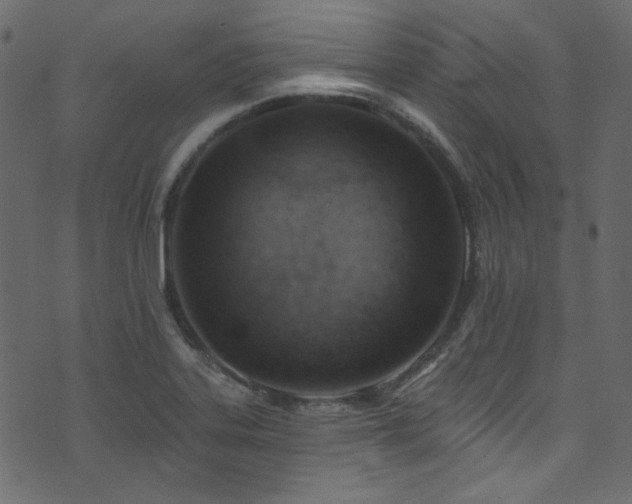 X0000074341323200608251341