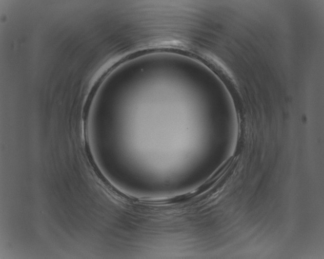 X0000074341324200608251341