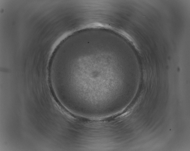 X0000074341326200608251341