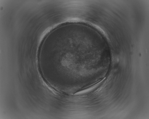 X0000074341327200608251341