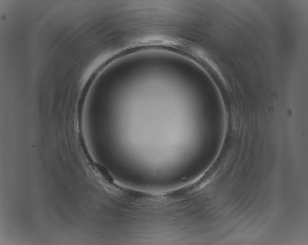 X0000074341328200608251341