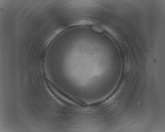 X0000074341329200608251341