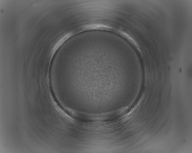 X0000074341330200608251341