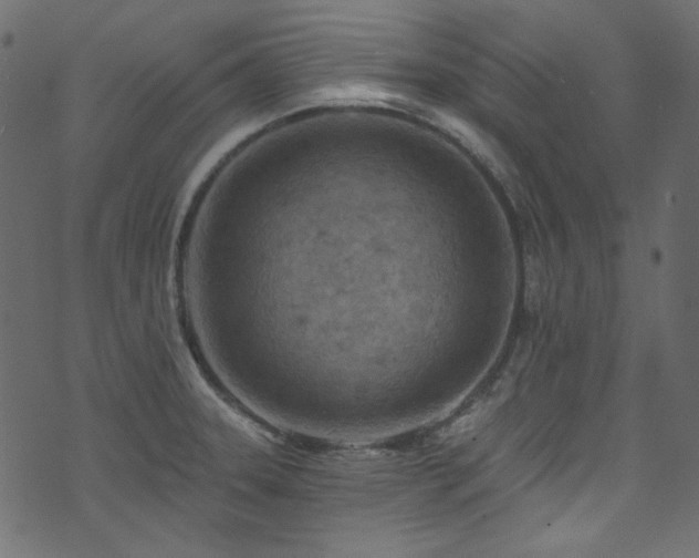 X0000074341331200608251341