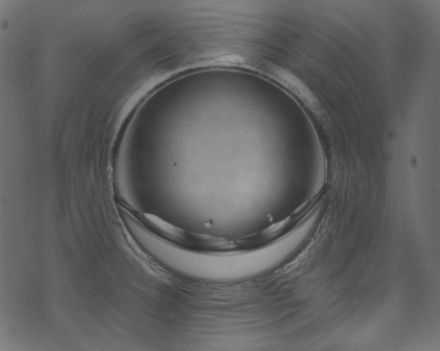 X0000074341332200608251341