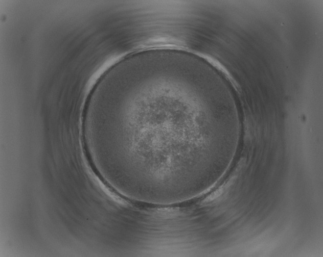 X0000074341333200608251341