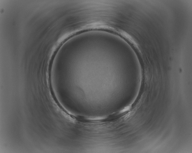 X0000074341334200608251341