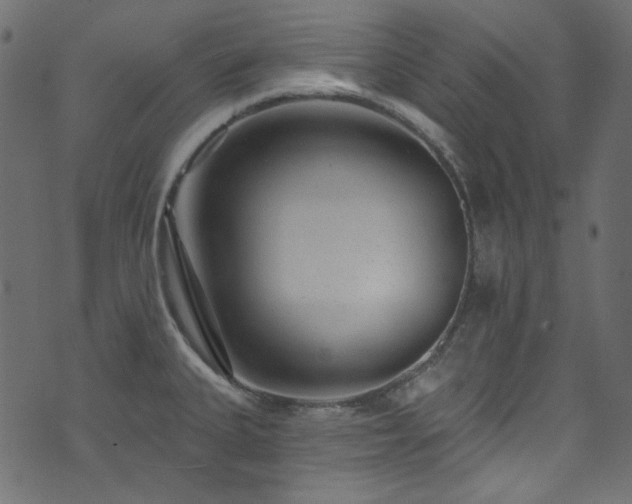 X0000074341335200608251341