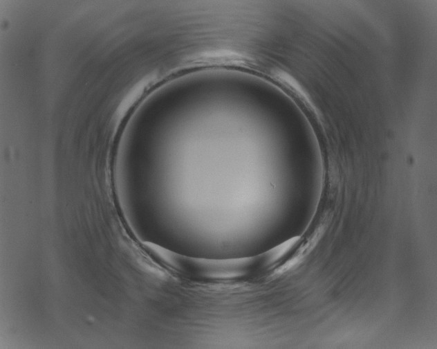 X0000074341336200608251341