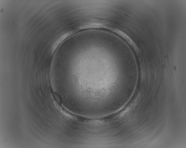 X0000074341337200608251341