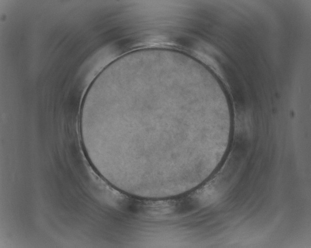 X0000074341338200608251341