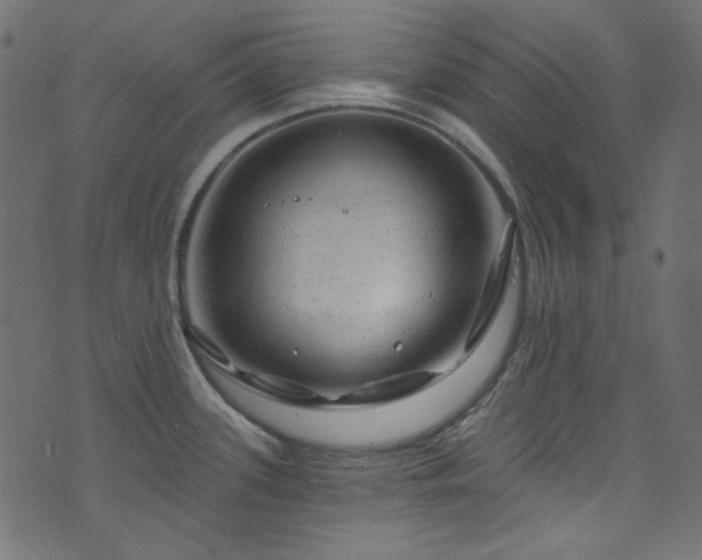 X0000074341339200608251341