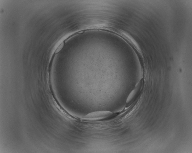 X0000074341340200608251341