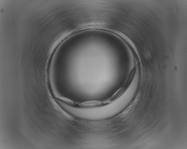 X0000074341341200608251341