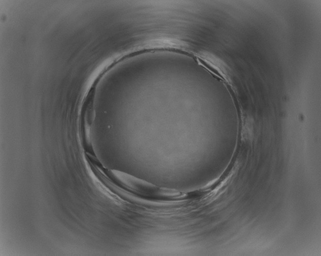 X0000074341342200608251341